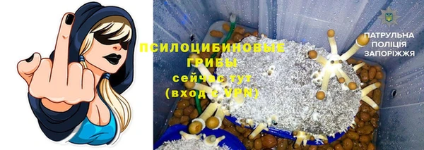 шишки Алексеевка