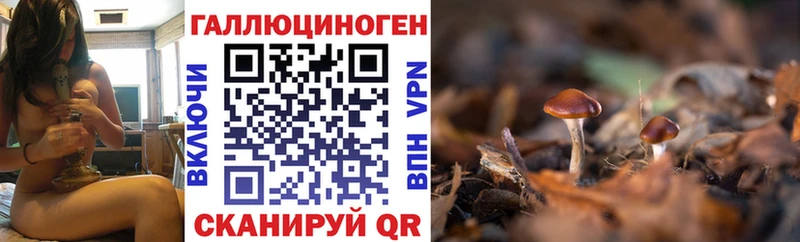 Галлюциногенные грибы MAGIC MUSHROOMS  наркота  Зверево 